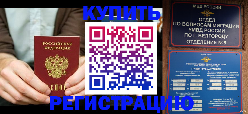 прописка 2025 в Можге